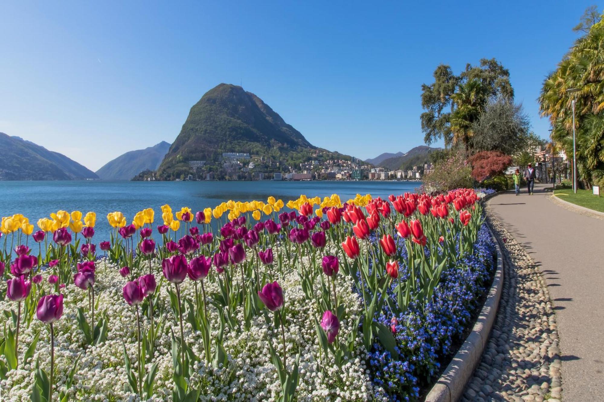 Love Of Lugano - Happy Rentals المظهر الخارجي الصورة